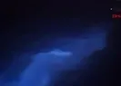 Yunusların nadir görülen ışık saçan gösterisi kamerada