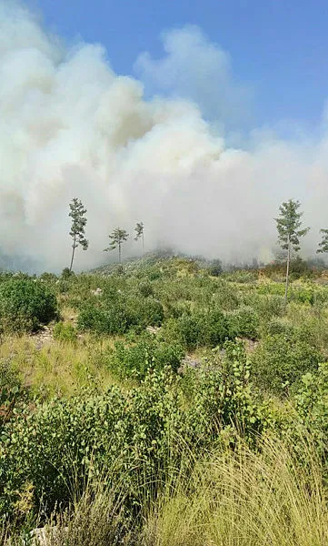 son-dakika-burdurda-orman-yangini-cikti-1659278038765.jpg Burdur'da orman yangını çıktı - 3