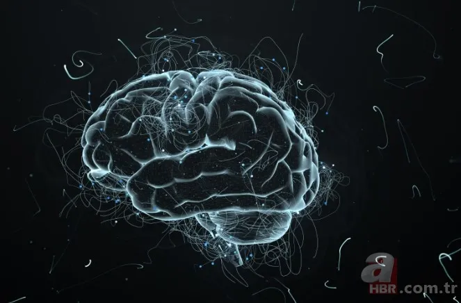 İbn-i Sina'nın 'şifa kaynağı' dediği baharat! Unutkanlığa savaş açıyor! Hafızayı güçlendirmek için aç karnına... 5