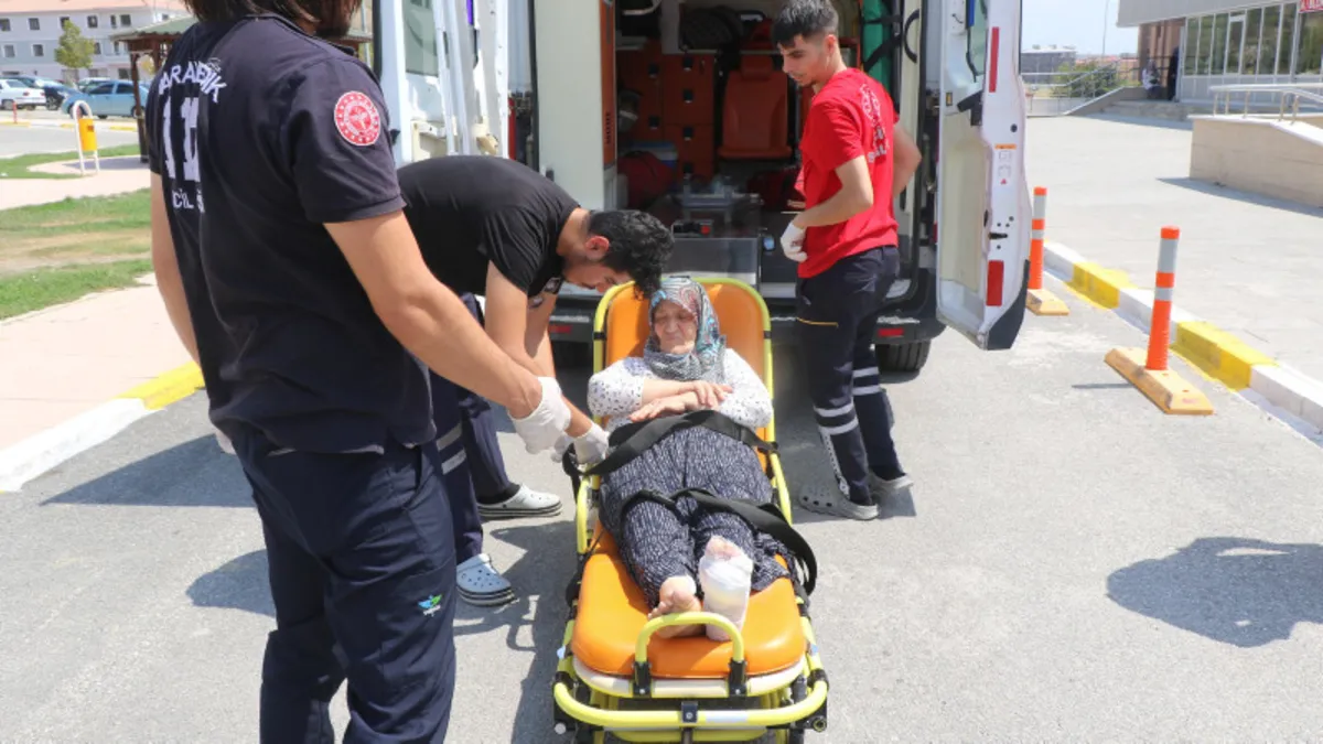 Başıboş köpekler Erzincan'da dehşet saçtı! Evinin bahçesinde oturan kadının kabus anları