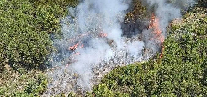 Muğla Ula’da orman yangını! 2 hektar alan zarar gördü