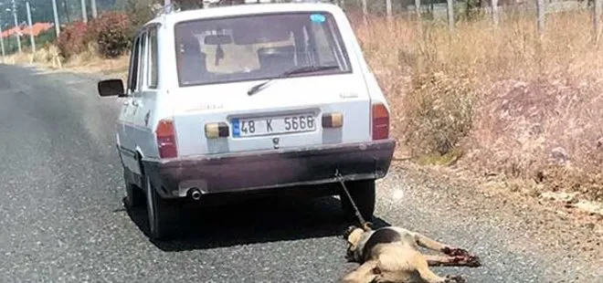 Köpeği otomobilin arkasında sürükleyen kişinin cezası belli oldu