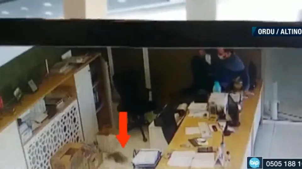 Neye uğradıklarını şaşırdılar! Kutudan fırlayıp mağazayı birbirine kattı