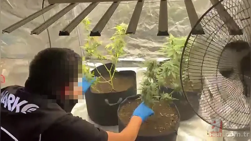 Yatak odasını seraya çevirdi! İfadesi pes dedirtti 8