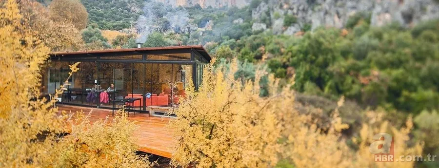 Okyanusa sadece bir adım uzaklıkta olacağınız bungalov evler 25