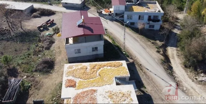 Türkiye'de pek bilen yok ama Avrupa kapış kapış alıyor! Ne olduğunu gören şaşkına dönüyor: Kozmetik ve ilaç sanayisinin gözdesi 1