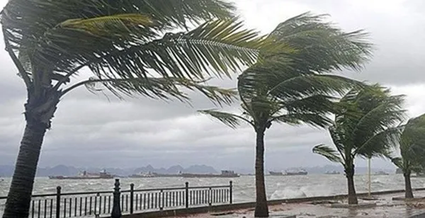 Meteoroloji İstanbul ve birçok ili saat verip uyardı! Doğu Anadolu'da sıcaklık eksileri gördü | Soğuk hava dalgası yurda giriş yaptı - 16