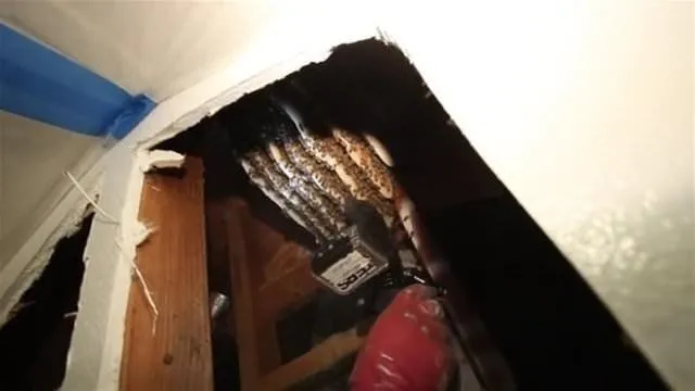 son dakika bursa da sok is yerine giren yilan