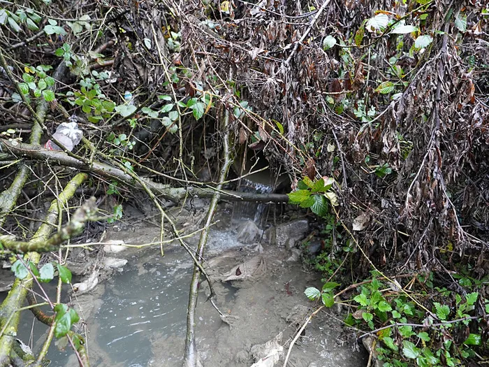 1737084745849.jpeg İstanbulluların içtiği suya lağım suları karışıyor (AA)