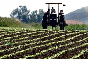 Tarım ve Orman Bakanı Bekir Pakdemirli: Türkiye tarımsal hasılada Avrupa birincisi