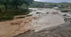 Elazığ’da sağanak ve dolu felaketi! Telef oldular...