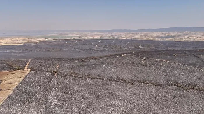 OGM’den 1 hafta için ’orman yangını riski’ uyarısı