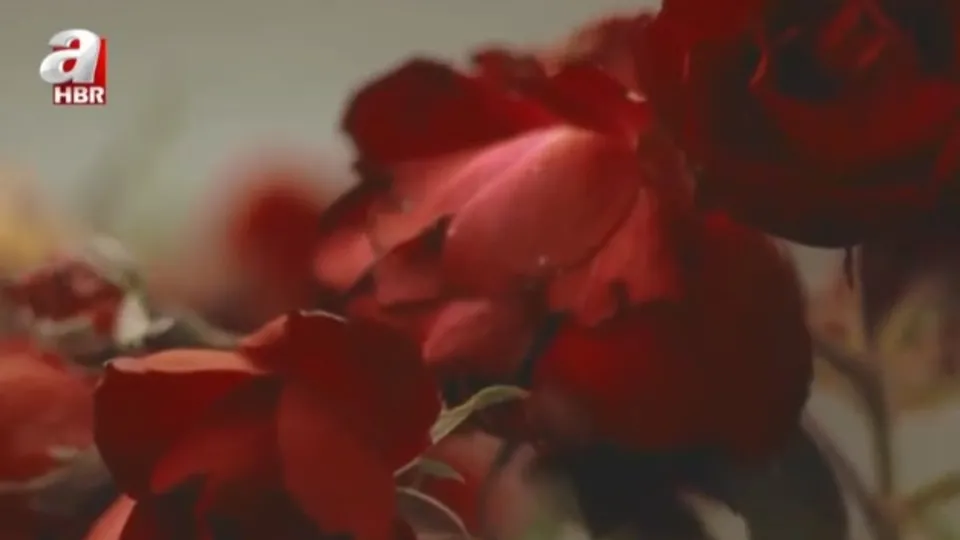 Bir naatın ilhamı böyle doğdu