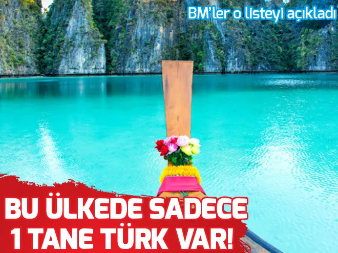 En çok Türk hangi ülkede?