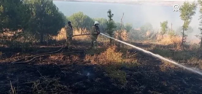 Büyükçekmece’de orman yangını! Alevler söndürüldü