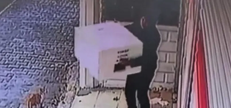 Batman’da hırsızlar kedi barınağını çaldı