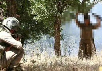 Van'da 2 terörist daha teslim oldu