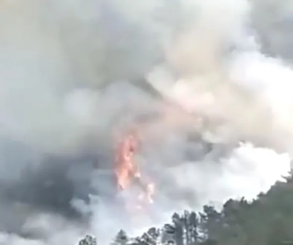 SON DAKİKA! Çin’de 133 kişiyi taşıyan yolcu uçağı düştü