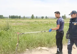 Evin bahçesinde korkutan misafir! Dev yılan yakalanıp doğaya bırakıldı