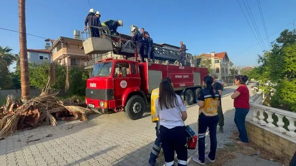 antalyada-kan-donduran-olay-budamak-icin-ciktigi-agacta-yasamini-yitirdi-1650969528482.jpg Antalya’da kan donduran olay: Budamak için çıktığı ağaçta yaşamını yitirdi - 1