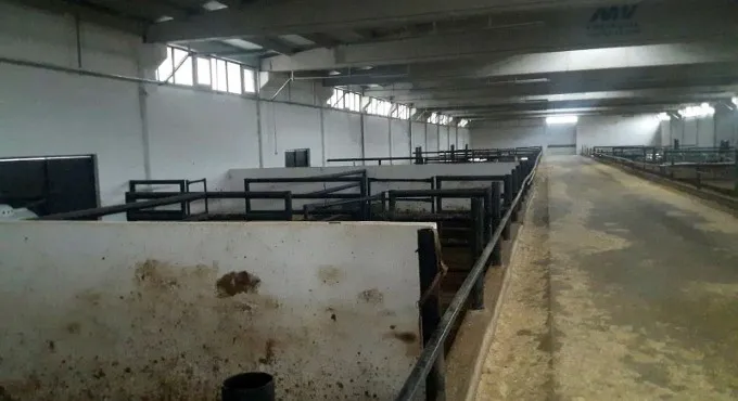 Diyarbakır'da bir Çiftlik Bank vakası daha! 20 milyon toplayıp kayıplara karıştılar - 4