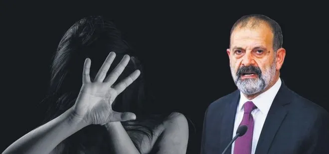 HDP’li vekillere sert tepki: Tecavüzcü dayakçı vekiller bizi temsil edemez