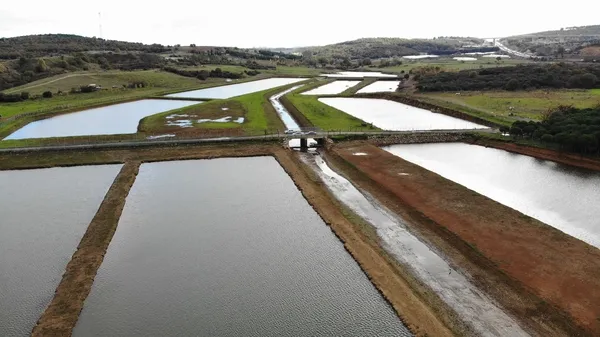 Ömerli Barajı’nda yürek sızlatan görüntü: Takılıp telef olan hayvanlar suların çekilmesi ile ortaya çıktı