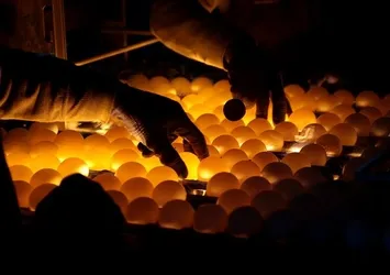 Gaziantep yumurtası Ortadoğu sofralarında