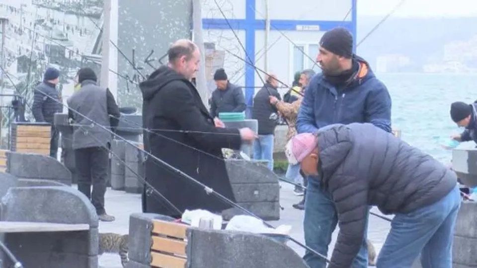 Üsküdar'da yasaklandı! Karaköy'de insanlar balık tutmaya devam etti