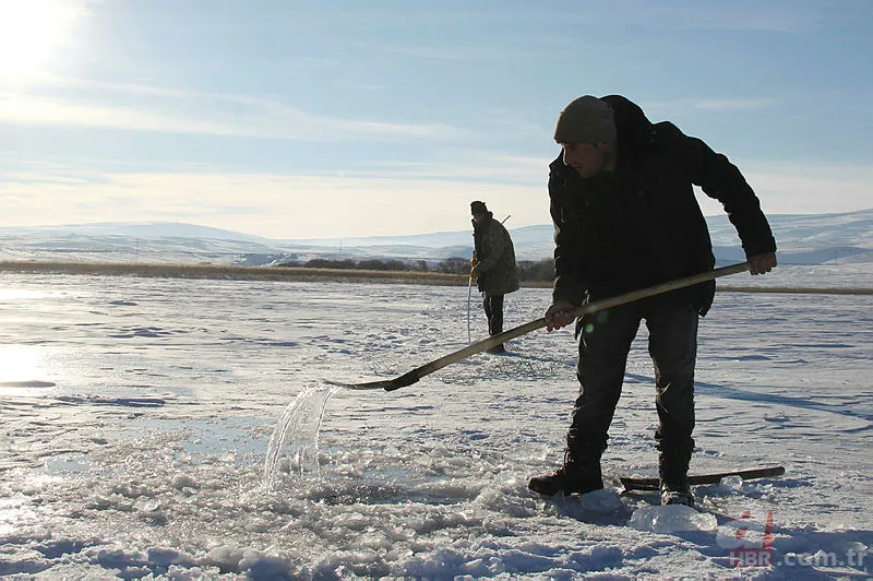 Erzincan'da eksi 20 derecede buzun altında balık avı! Onlarca balığı elleriyle böyle yakaladı: Güzel bir balık tutma tekniği 12