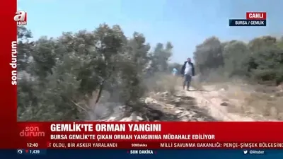 Gemlik’te orman yangını!