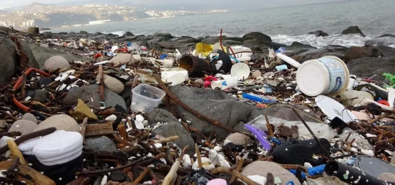Doğadan iade! Denize atılan çöpler kıyıya vurdu
