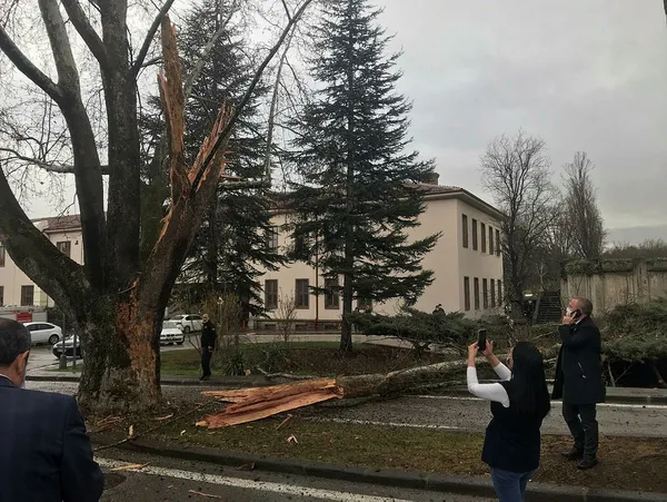Halk TV sunucusu Ayşenur Arslan TBMM’nin bahçesine düşen yıldırımı Başkan Erdoğan’a bağladı