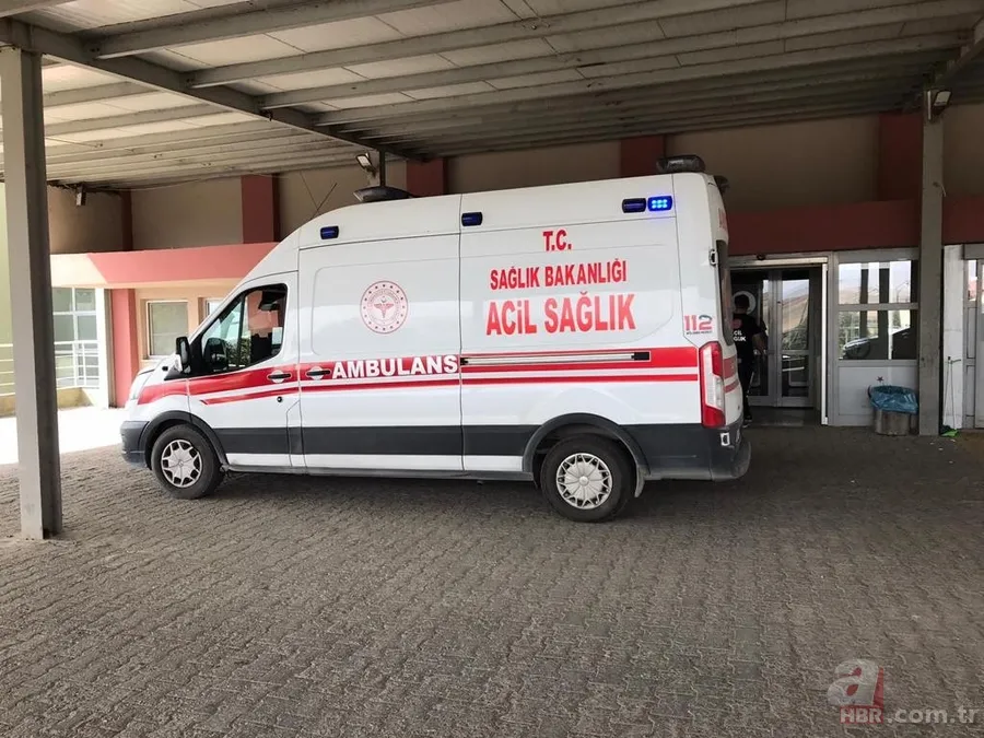 Görüntüler Erzurum’dan… Ayı çobana saldırdı! ‘Ayının altından kurtuldum ve…’🐻 2