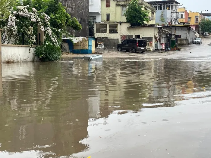 Adana'da şiddetli yağmur ve rüzgar ağaçları kökünden söktü, vinci devirdi - 1