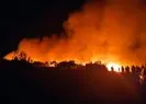 Gaziantep Nizip’te orman yangını! 200 dönüm alan kül oldu
