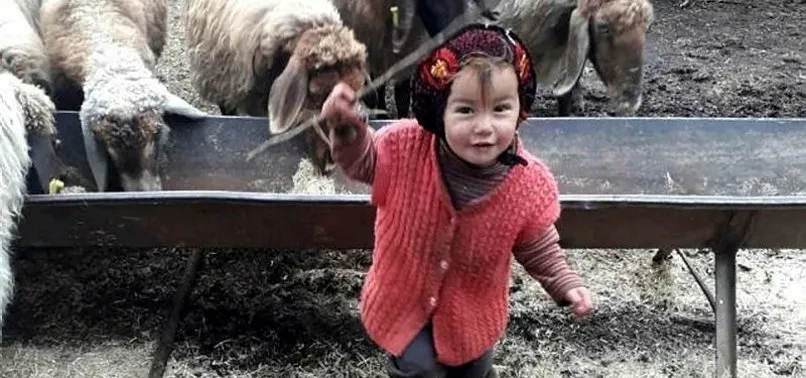 2 5 yasindaki muslume bulundu mu kim oldurdu muslume nasil oldu muslume katili kimdir