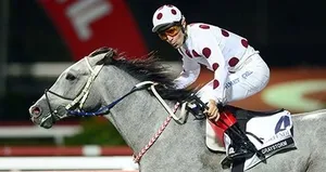 Gazi Koşusu’nda zafer Graystorm’un