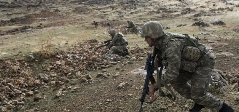 Şırnak'ta 2 terörist etkisiz hale getirildi