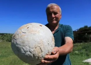 Futbol topu sandı! Gerçeği öğrenince büyük şok yaşadı!