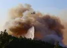 Tarım ve Orman Bakanı Pakdemirli: Hataydaki yangın 2 köye doğru ilerliyor