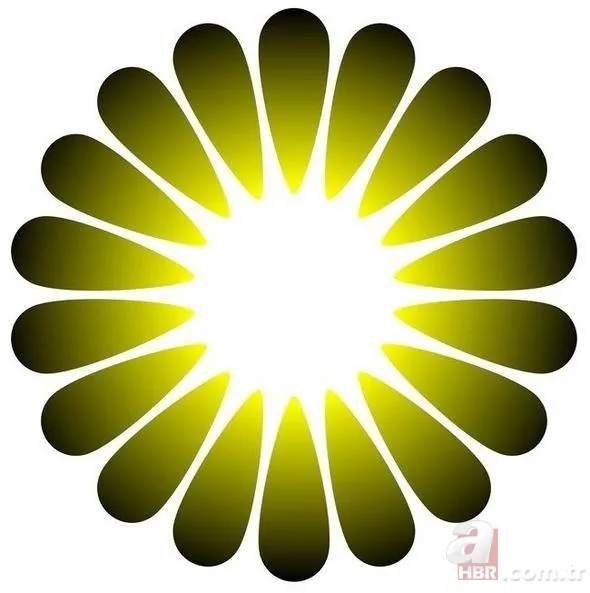 Gözlerinizin sizi yanıltmasına hazır mısınız? 15