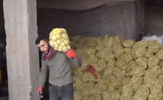 Devletten üretici ve tüketiciyi sevindiren karar! Çiftçiden patates ve soğan alınıyor - 4