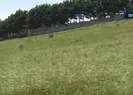 Talep patladı! Küçük paralarla büyük kazanç