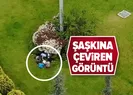 Şaşkına çeviren görüntü
