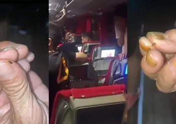 Mersin İstanbul otobüsünde tahta kurusu paniği! 45 yolcu ayakta gitti: Vücudumuzu ısırdılar!
