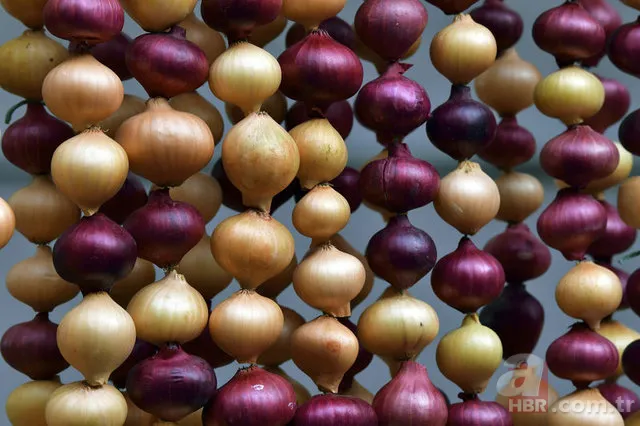 Kış hastalıklarından koruyan besinler 3