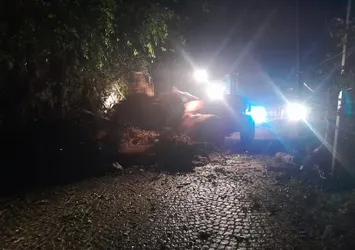 Rize’de heyelan! Yayla yolu ulaşıma kapandı