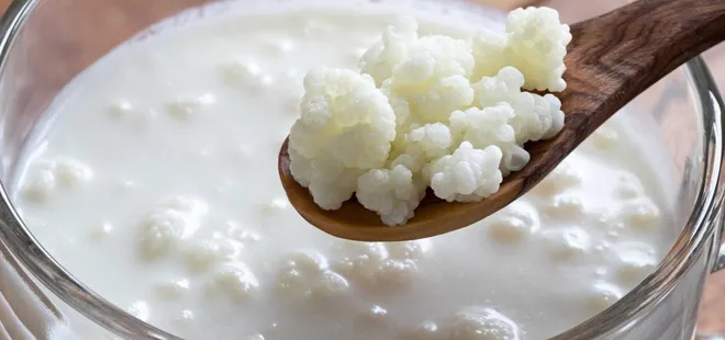 Her gün 1 bardak içen şifa buluyor! Kefirin mucizevi faydası...