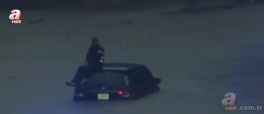 Lise bahçesindeki ağaca yıldırım düştü! 6 metrelik ağaç ortadan ikiye ayrıldı 2